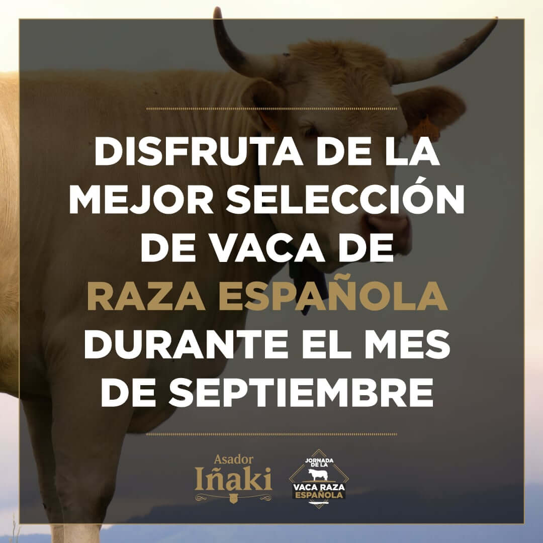 Asador Iñaki Málaga - Asador Iñaki Inicio - jornadas vaca espanola movil 7